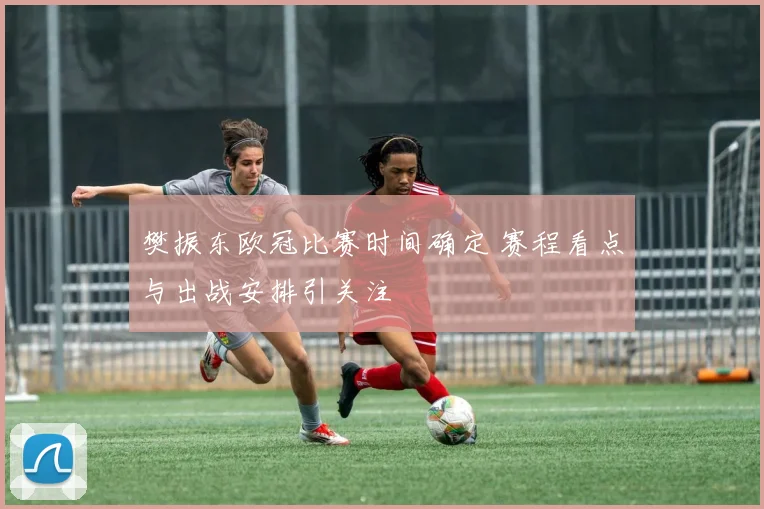 樊振东欧冠比赛时间确定 赛程看点与出战安排引关注