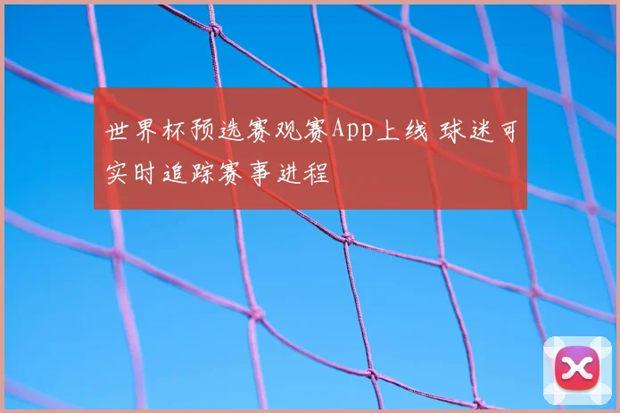 世界杯预选赛观赛App上线 球迷可实时追踪赛事进程