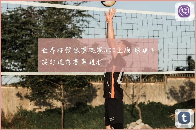 世界杯预选赛观赛App上线 球迷可实时追踪赛事进程