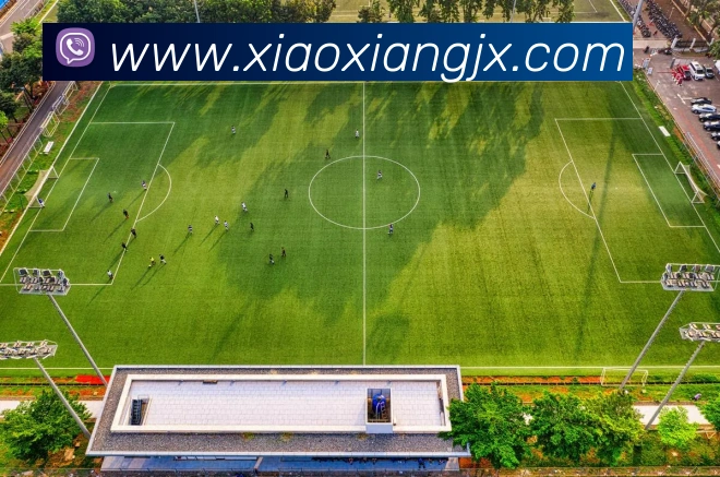 世界杯官方网络平台平台生态图